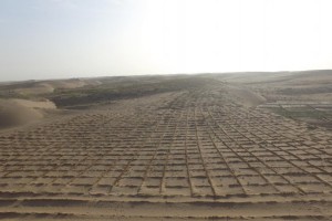 涼州區(qū)山水林田湖北部防風固沙林建設項目