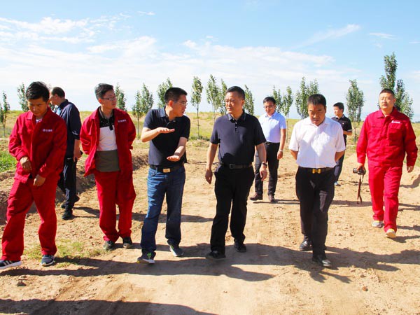 甘肅建投副總經理孟康榮調研新能源公司