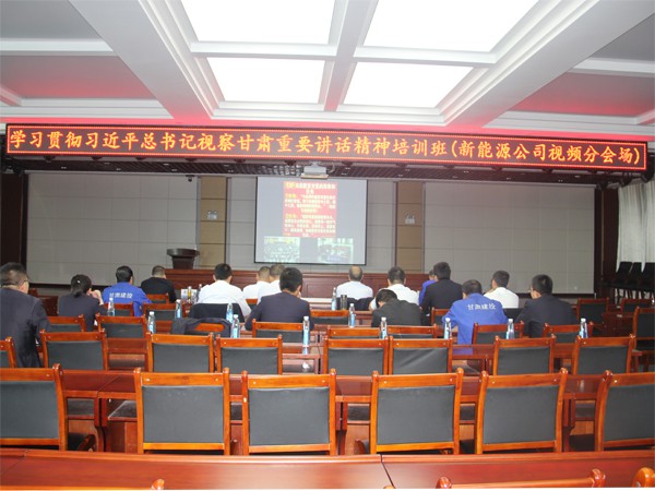 新能源公司學(xué)習(xí)習(xí)近平總書記視察 甘肅重要講話和指示精神