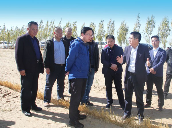 甘肅省科技廳考察調(diào)研新能源公司重大專項項目開展情況