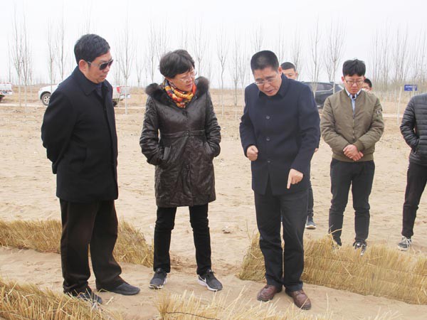 國家林草局調研新能源公司