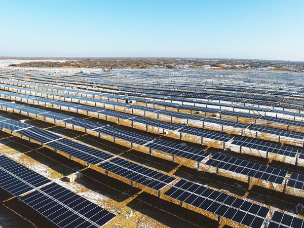 寒潮擋不住的建設(shè)熱潮 ——新能源公司羊老大50MWp光伏電站項目建設(shè)如火如荼進行