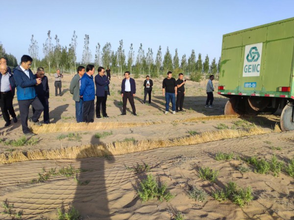省科技廳副廳長巨有謙一行調研甘肅建投 全國荒漠化防治(機械治沙工程)試驗示范基地 省科技廳副廳長巨有謙一行調研甘肅建投 全國荒漠化防治(機械治沙工程)試驗示范基地