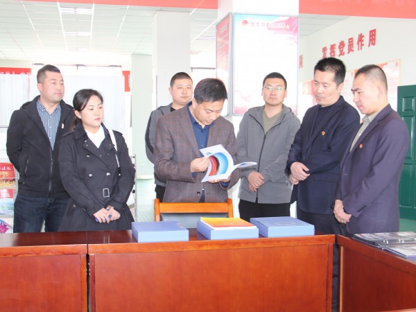 共青團(tuán)武威市委書記馬維斌一行調(diào)研新能源公司共青團(tuán)工作