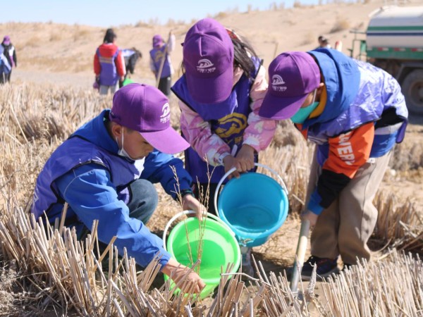 甘肅建投新能源公司沙漠研學(xué)旅行基地舉辦“我與小樹共成長，爭做護(hù)綠小使者”主題研學(xué)活動(dòng)