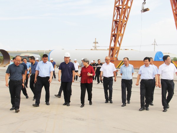 武威市委副書記、市長(zhǎng)馬秀蘭一行調(diào)研甘肅建投新能源公司