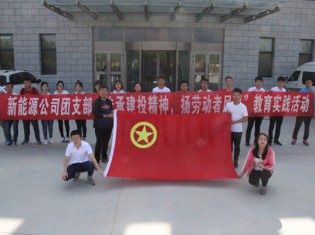 新能源公司團(tuán)支部開展教育實(shí)踐活動
