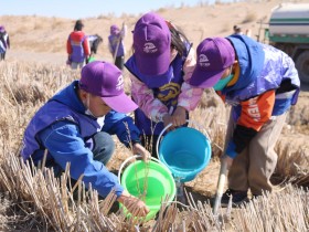 甘肅建投新能源公司沙漠研學(xué)旅行基地舉辦“我與小樹共成長，爭做護(hù)綠小使者”主題研學(xué)活動